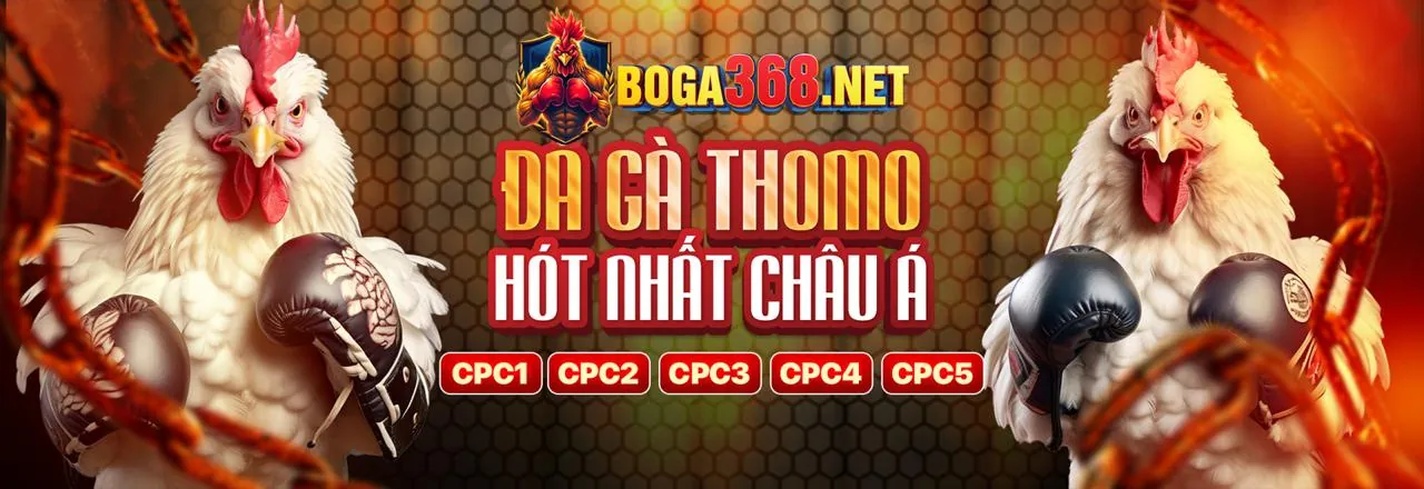 Hình ảnh chính hướng dẫn chơi Baccarat tại jun880 chính thức