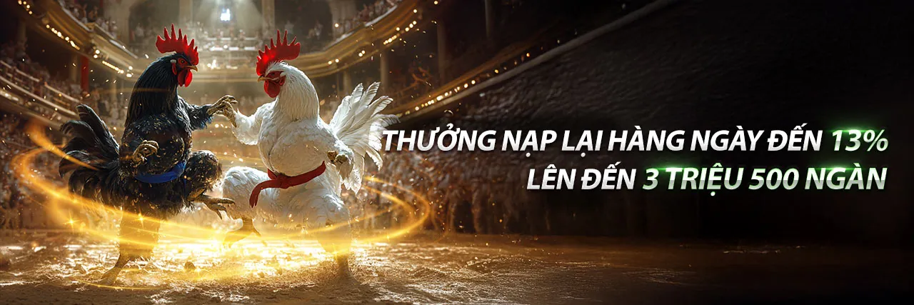 Đá Gà Jun880 Chính Thức 2026 - Sân chơi cá cược đá gà trực tuyến hàng đầu
